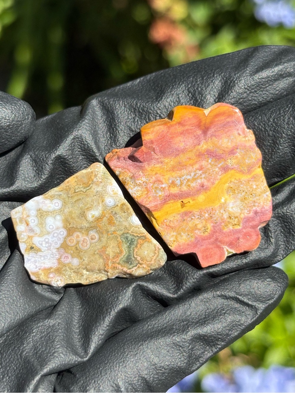 Small Ocean Jasper Crystal Set - Polished Sea Jasper Bundle - Orbicular Jasper